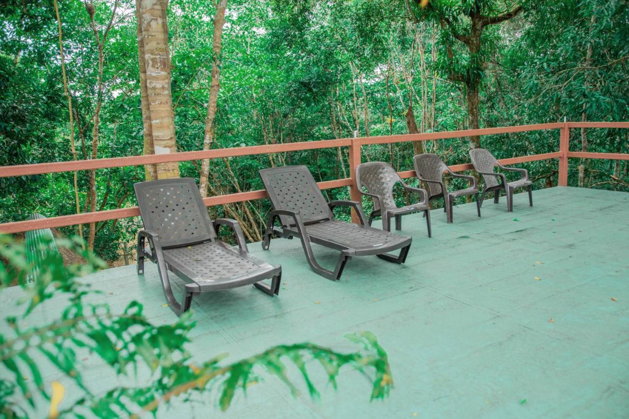 Caiman Eco Lodge Aguarico Экстерьер фото